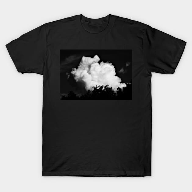 Black and White Storm Cloud T-Shirt by 1Redbublppasswo